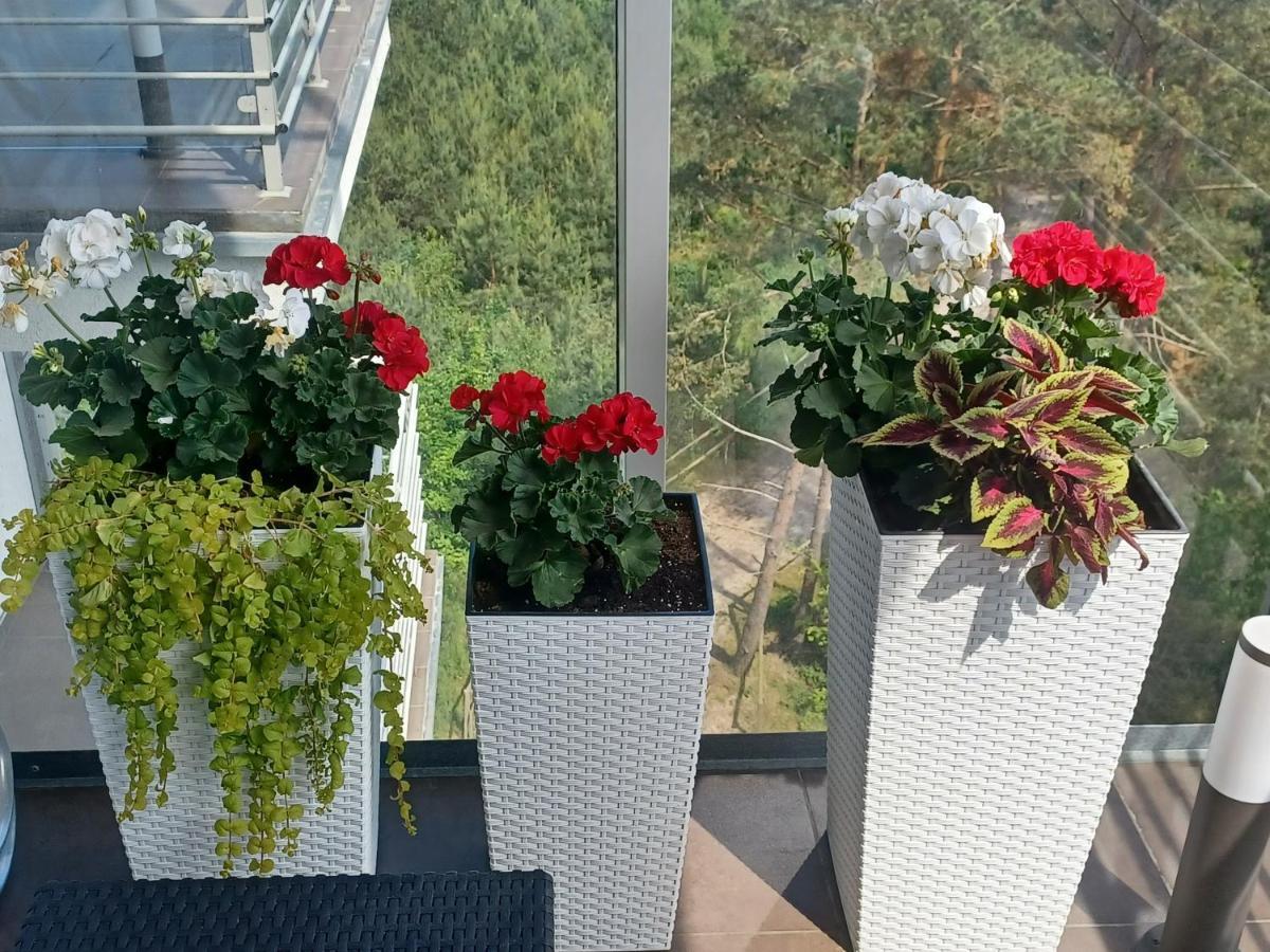 Apartament Z Widokiem Na Morze Dziwnówek 外观 照片