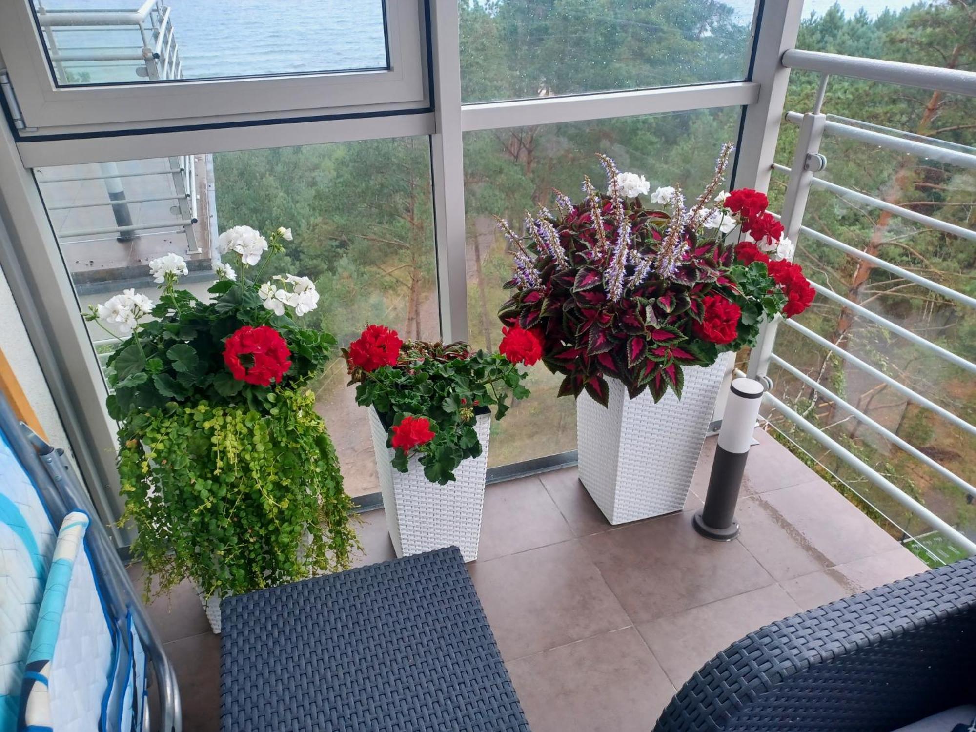 Apartament Z Widokiem Na Morze Dziwnówek 客房 照片